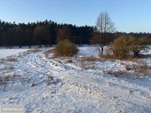 Działka rekreacyjna Dębówiec. Zdjęcie 3