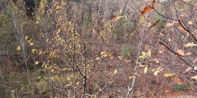 Działka inna Będzin, ul. Graniczna. Zdjęcie 2