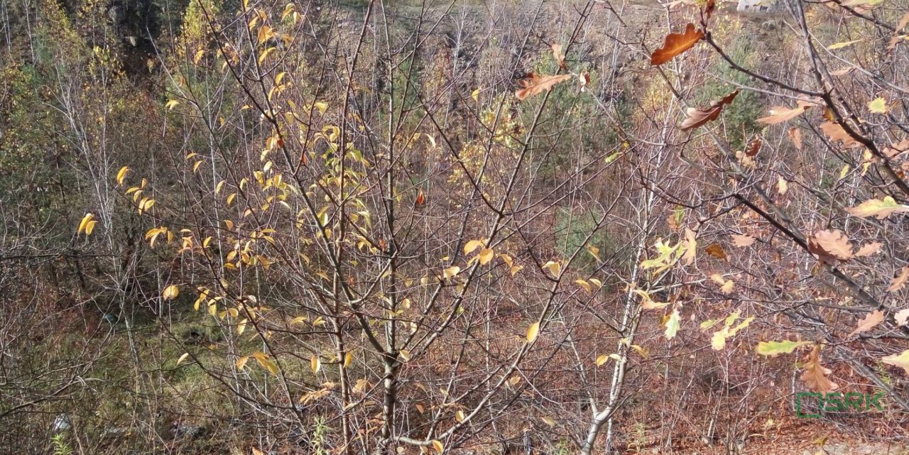 Działka inna Będzin, ul. Graniczna. Zdjęcie 2
