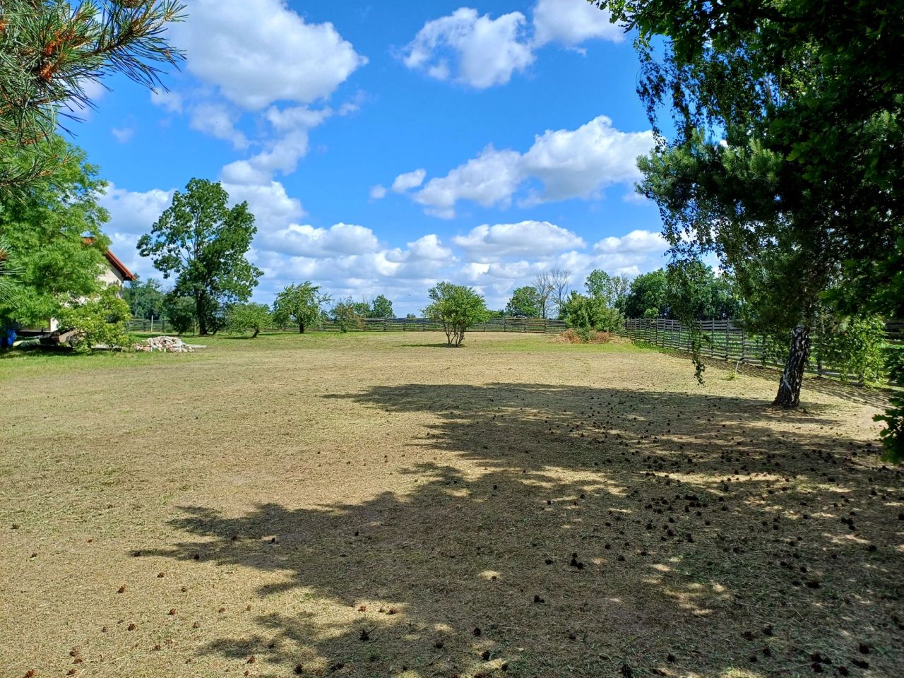 Działka budowlana Młodasko, ul. Kaźmierska. Zdjęcie 8