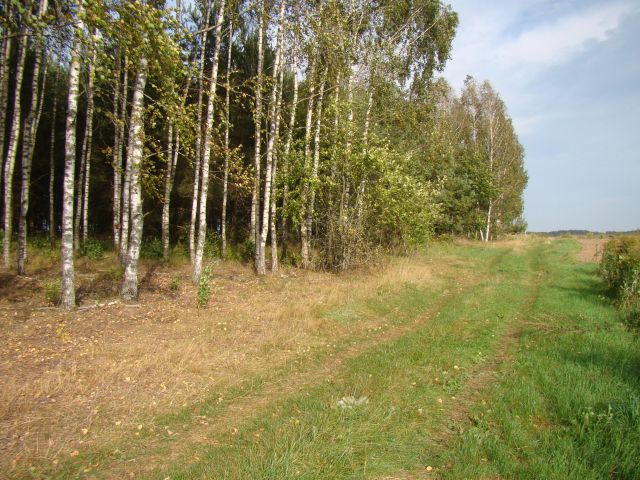 Działka rolna Wierzchlesie. Zdjęcie 1