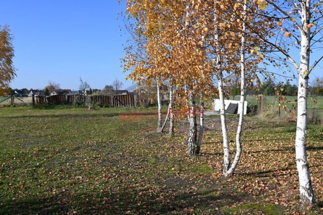 Działka inwestycyjna Schodnia. Zdjęcie 2