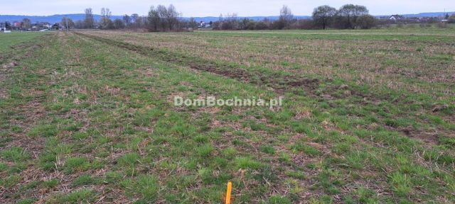 Działka budowlana Jodłówka. Zdjęcie 2