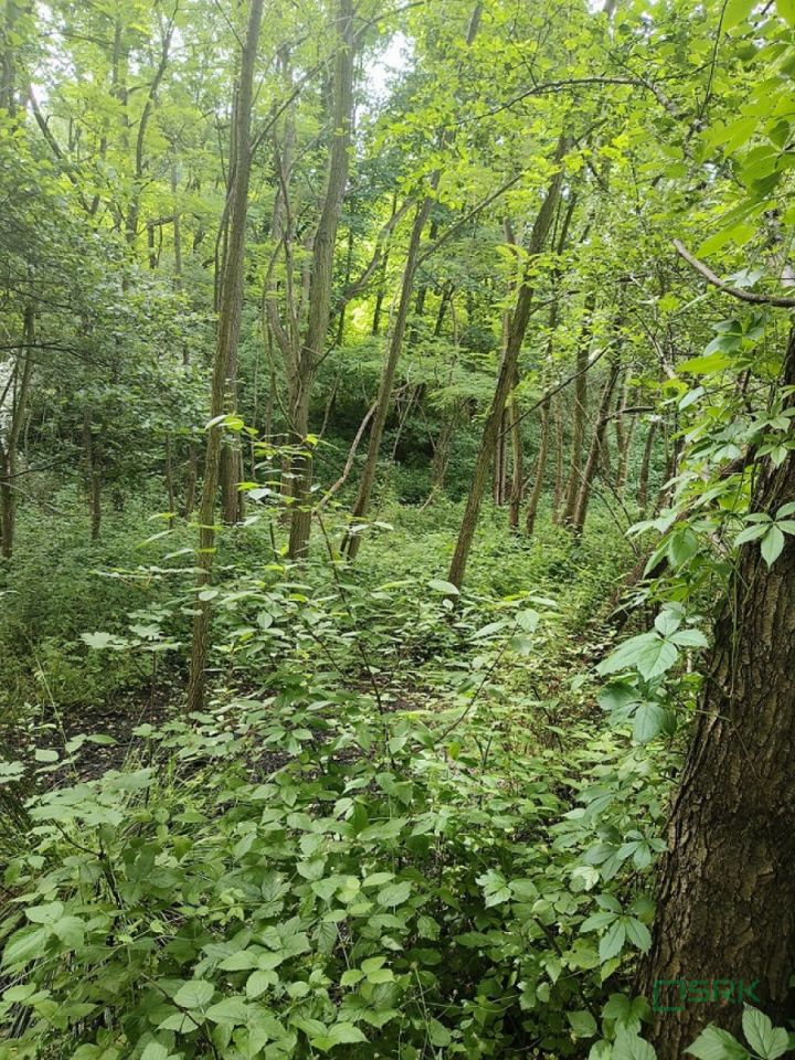 Działka inna Pszów, ul. Ignacego Łukasiewicza. Zdjęcie 3