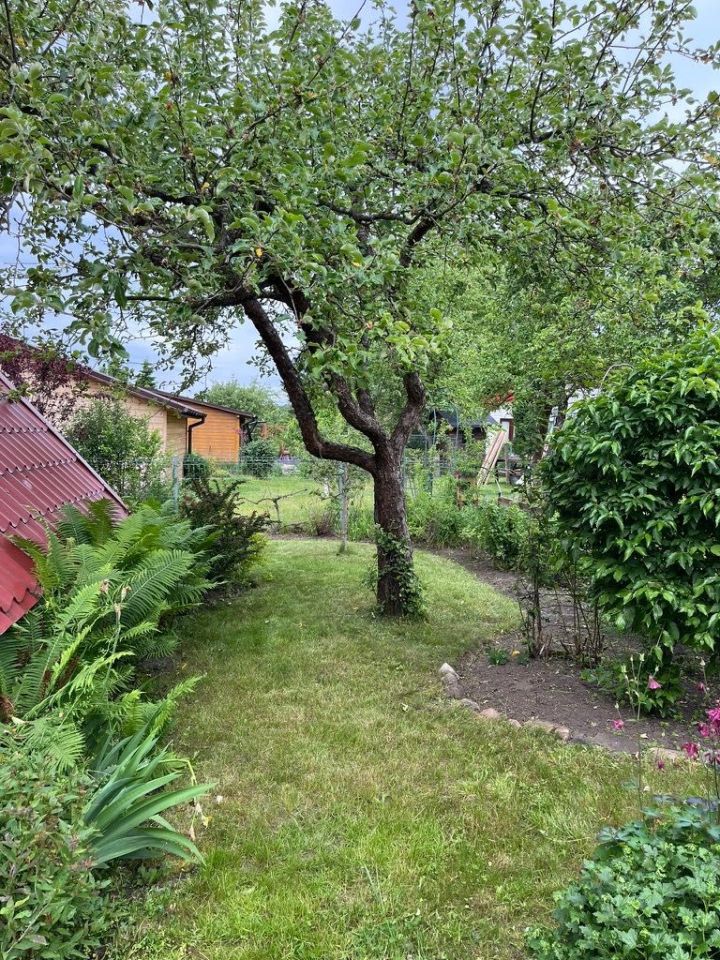 Działka rod Białystok Wygoda, ul. 42 Pułku Piechoty. Zdjęcie 7