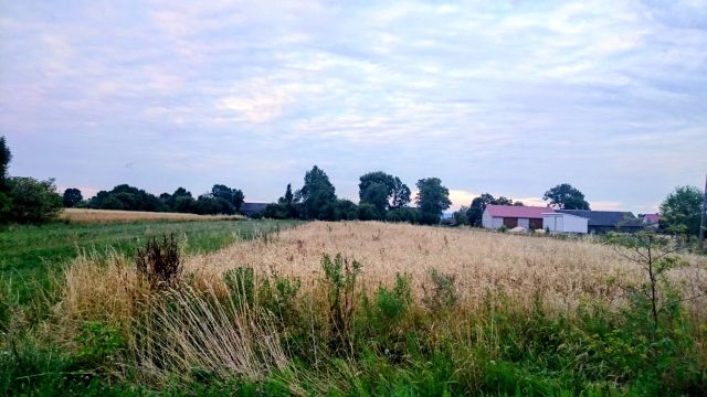 Działka rolno-budowlana Klimontów. Zdjęcie 1