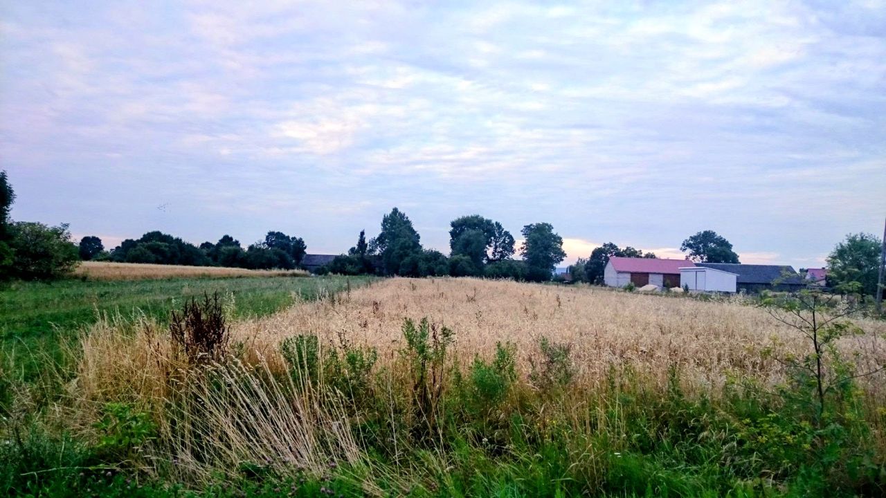 Działka rolno-budowlana Klimontów. Zdjęcie 1