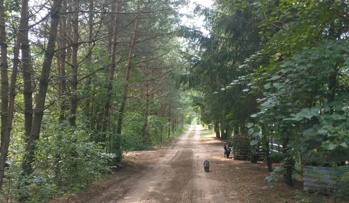 Działka budowlana Macharce