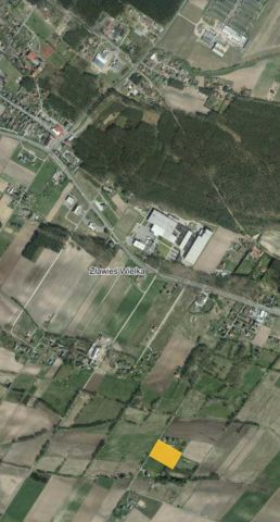 Działka rolno-budowlana Pędzewo. Zdjęcie 1