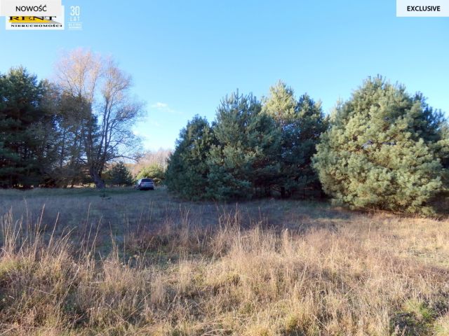 Działka rekreacyjna Krzywnica. Zdjęcie 13