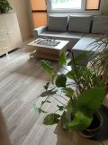 Mieszkanie 3-pokojowe Częstochowa Centrum. Zdjęcie 4