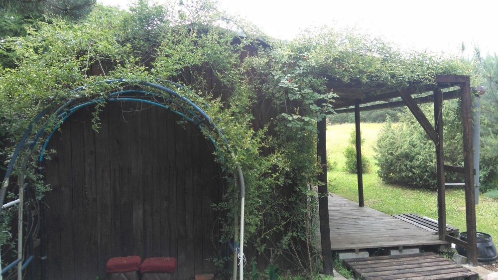 Działka siedliskowa Rościsławice, ul. Dzika. Zdjęcie 6