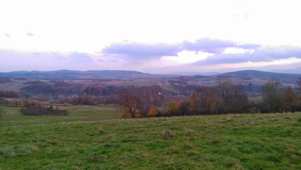 Działka rolna Miłoszów. Zdjęcie 5