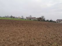 Działka budowlana Korzeń Królewski. Zdjęcie 4