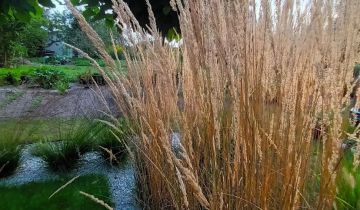 Działka rod Iława, ul. Michała Kajki