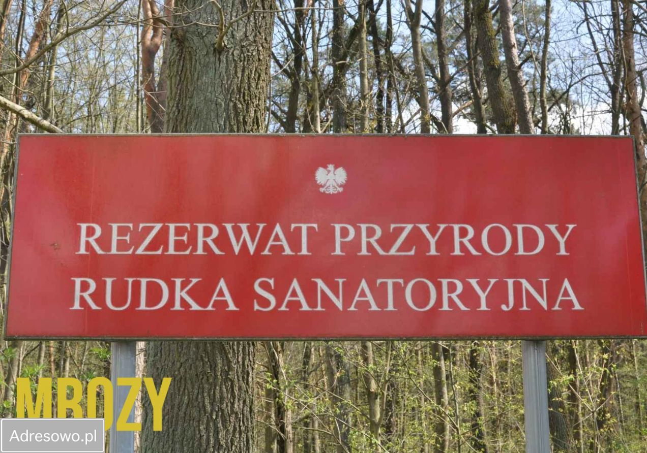 Działka budowlana Jeruzal, ul. Szkolna. Zdjęcie 10