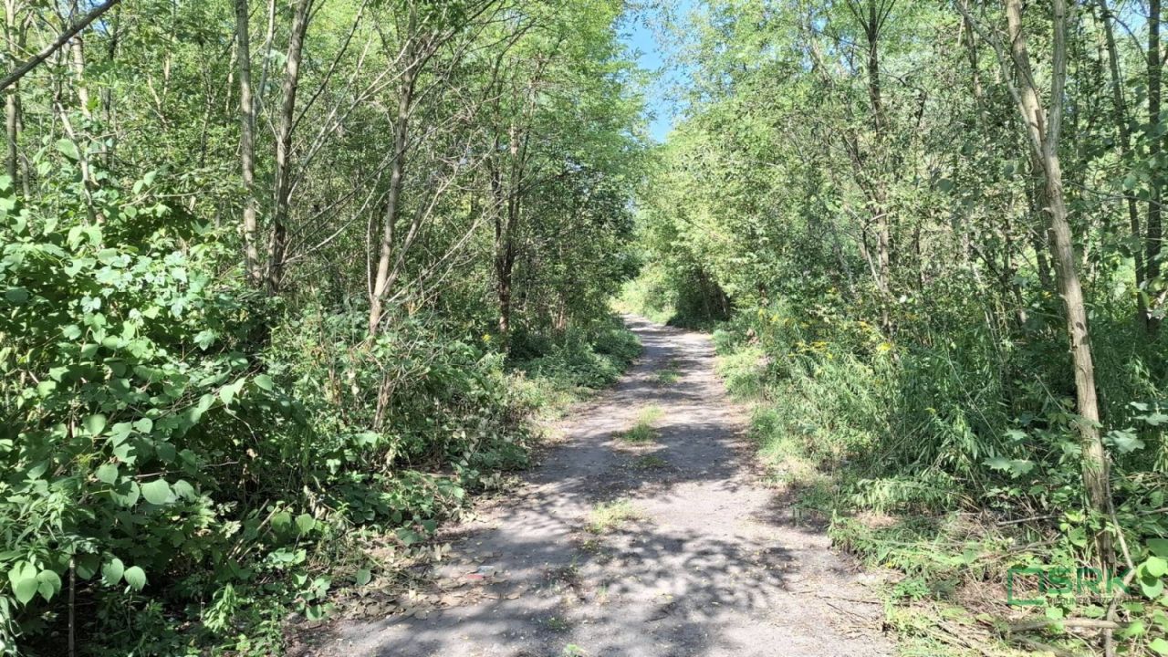 Działka inna Sosnowiec, ul. Wojska Polskiego. Zdjęcie 7