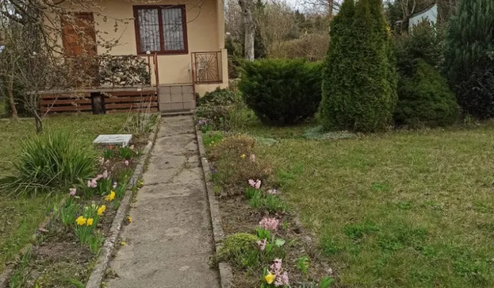 Działka rod Sosnowiec Środula, ul. gen. Mariusza Zaruskiego