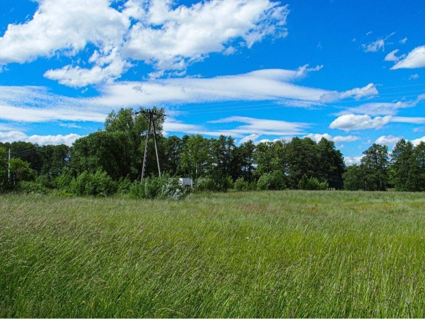 Działka Warpęsy. Zdjęcie 3