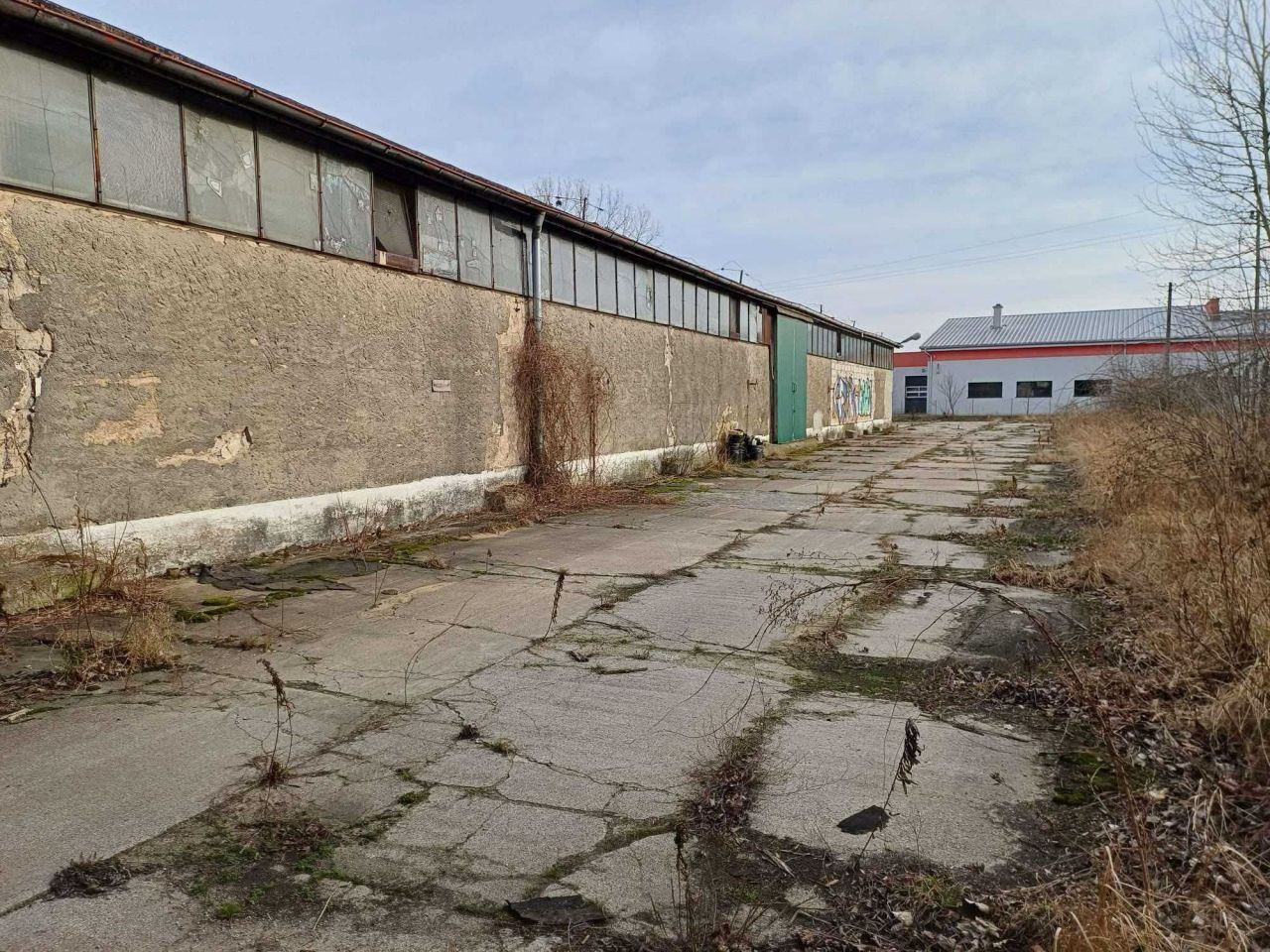 Hala/magazyn Prabuty. Zdjęcie 4