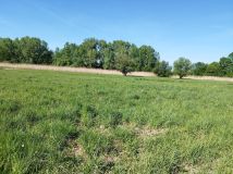 Działka budowlana Warszawa Wilanów, ul. Ruczaj. Zdjęcie 4