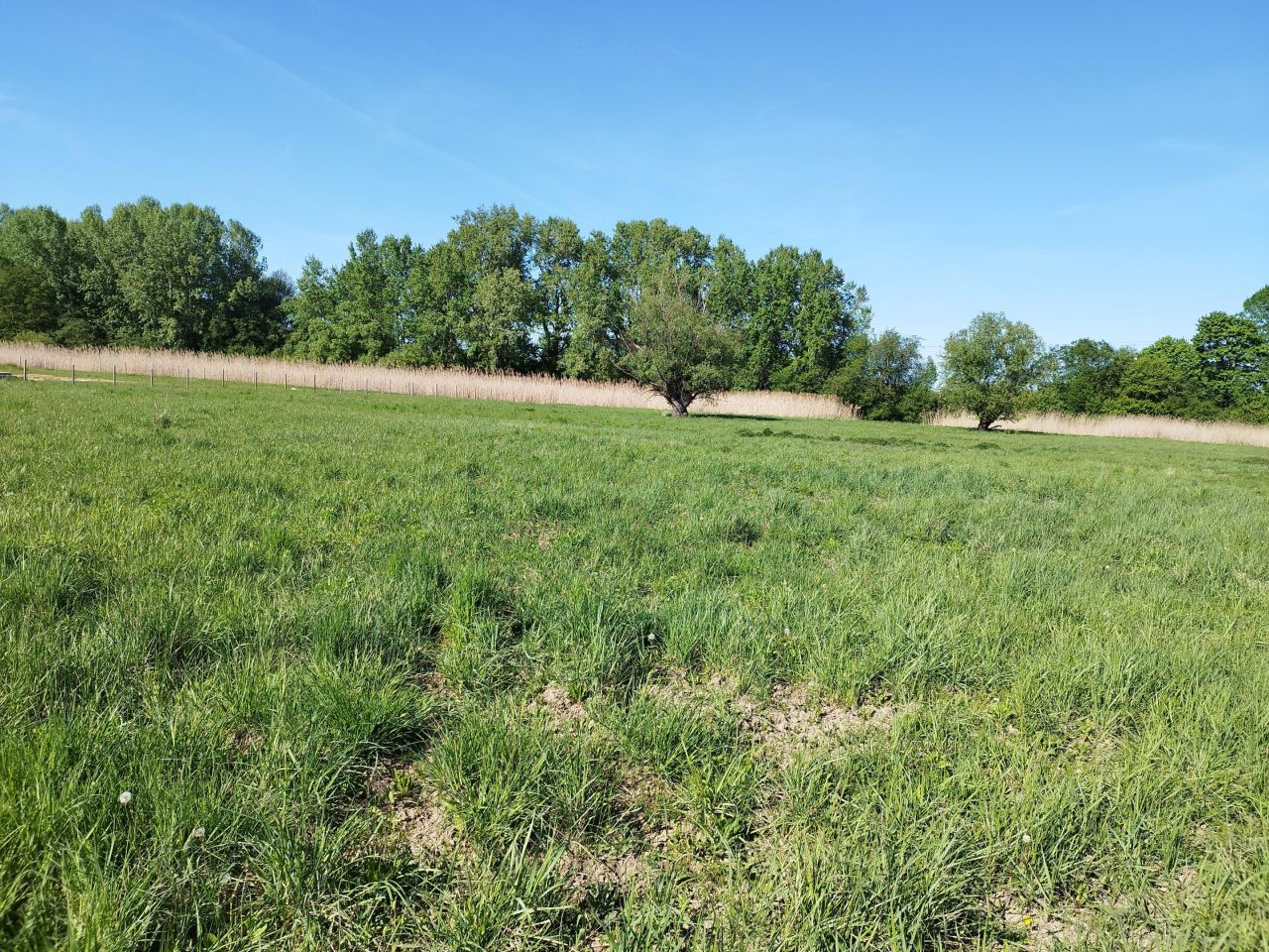 Działka budowlana Warszawa Wilanów, ul. Ruczaj. Zdjęcie 5