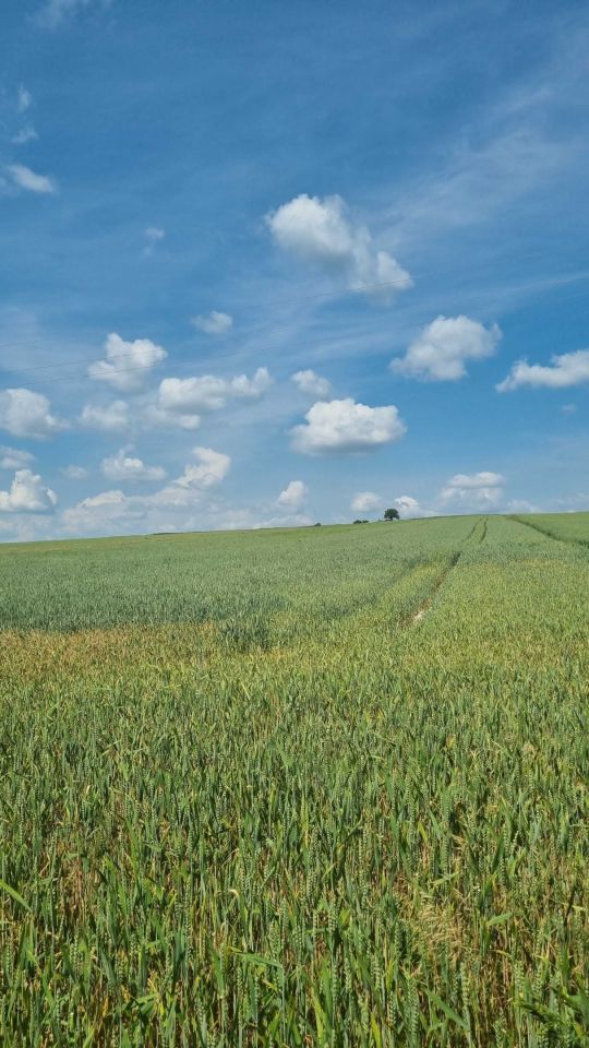 Działka rolna Staniowice