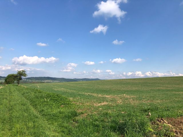 Działka rolno-budowlana Gorzanów Muszyn. Zdjęcie 2