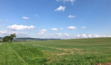 Działka rolno-budowlana Gorzanów Muszyn