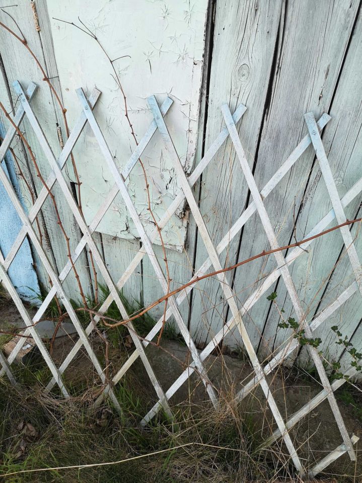 Działka rod Oleśnica, ul. Bolesława Limanowskiego. Zdjęcie 2