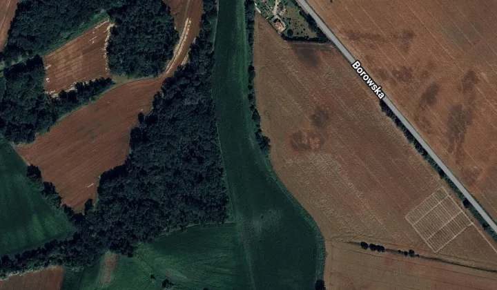 Działka rolna Bierzyn