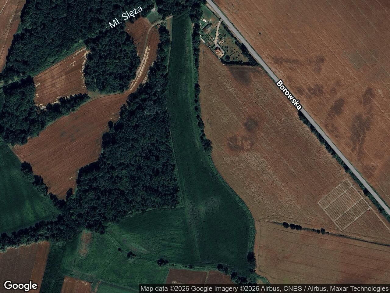 Działka rolna Bierzyn. Zdjęcie 1
