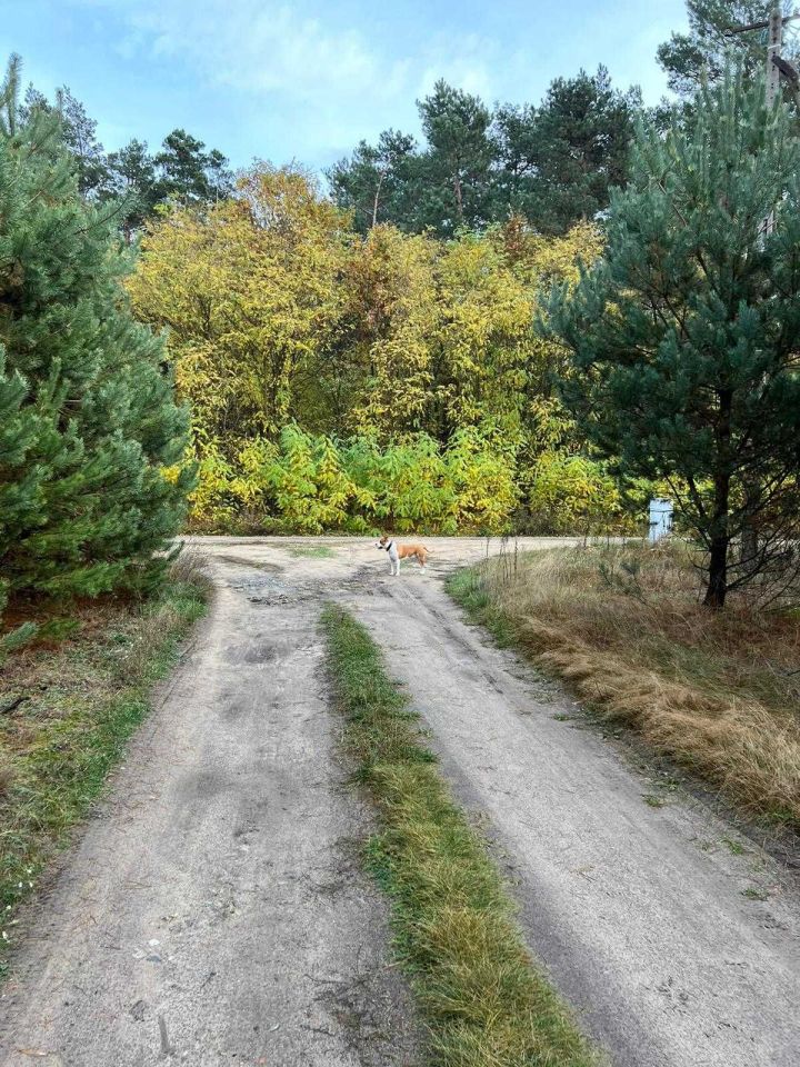 Działka rolno-budowlana Krogule. Zdjęcie 5