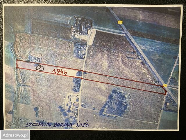 Działka rolna Gołas. Zdjęcie 1