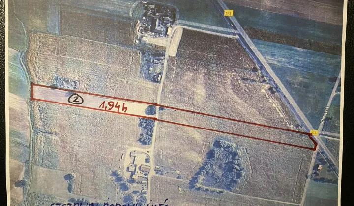 Działka rolna Gołas