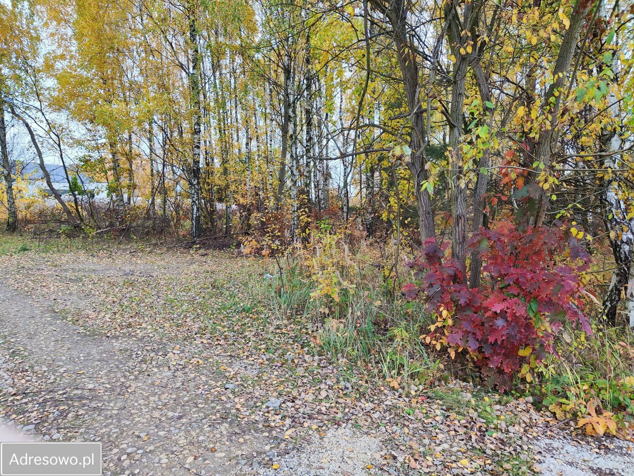 Działka budowlana Wierzchowisko, ul. Dębowa. Zdjęcie 5