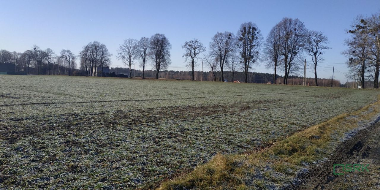 Działka inna Suszec, ul. Szkolna. Zdjęcie 4