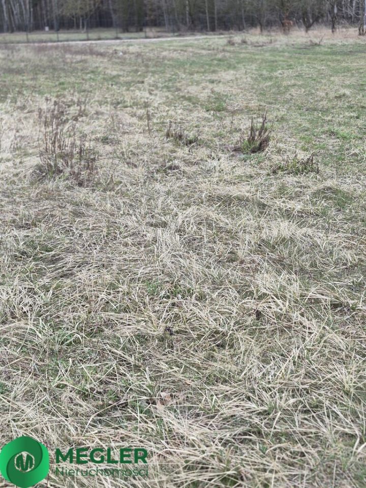 Działka budowlana Rusiec. Zdjęcie 8