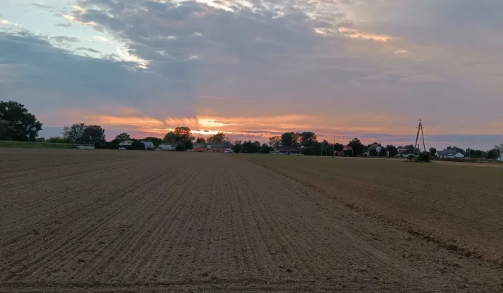 Działka rolno-budowlana Gołąb, ul. Polna