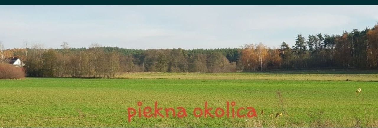 Działka budowlana Wymysłowo. Zdjęcie 6