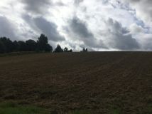 Działka siedliskowa Minoga. Zdjęcie 4