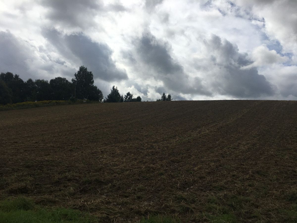 Działka siedliskowa Minoga. Zdjęcie 5