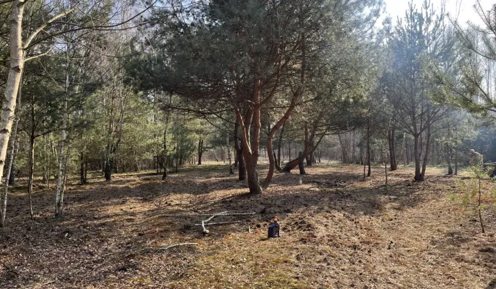 Działka rolna Czestków B