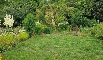 Działka rod Sosnowiec Milowice