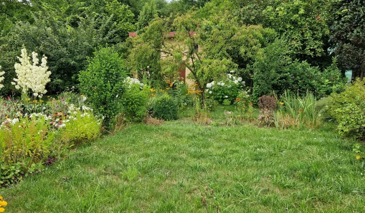 Działka rod Sosnowiec Milowice