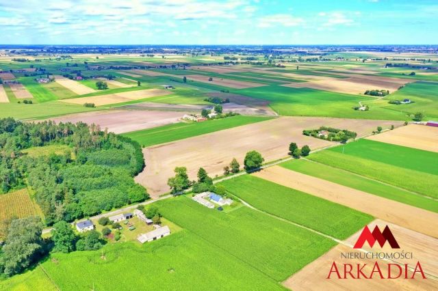 dom wolnostojący, 3 pokoje Bodzanowo. Zdjęcie 4