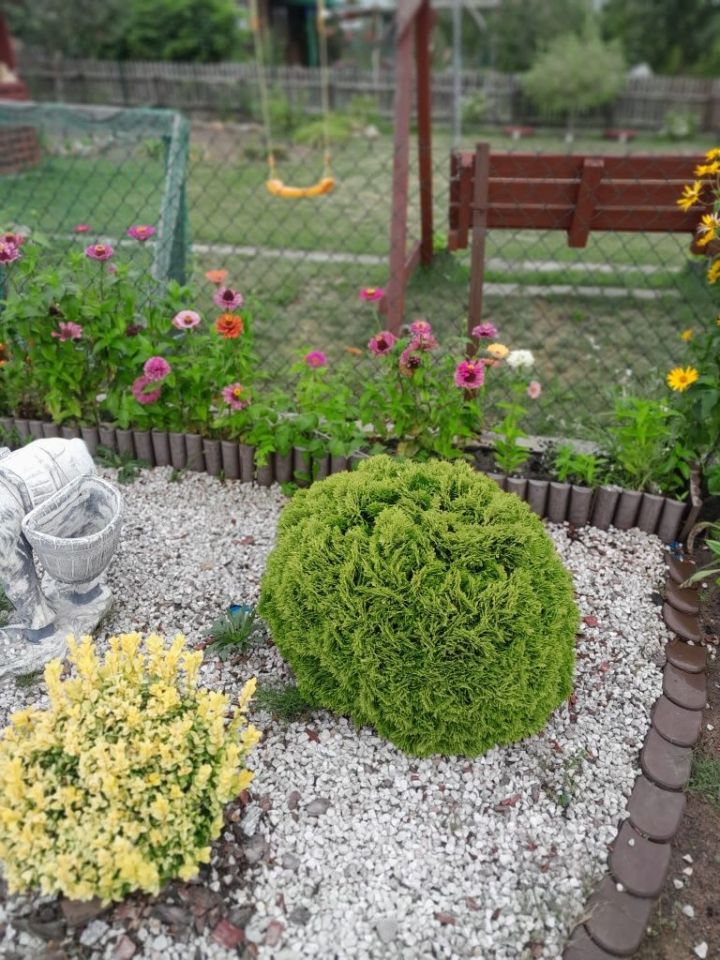 Działka rod Toczyłowo. Zdjęcie 3