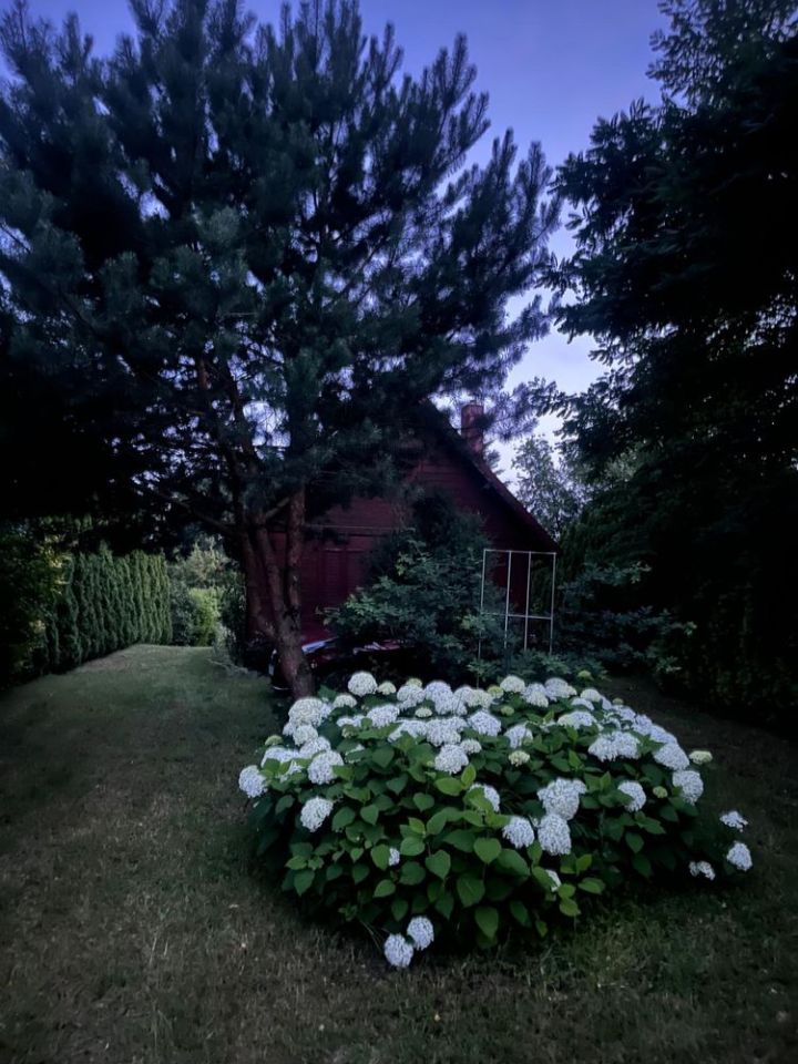 Działka siedliskowa Lubówiec. Zdjęcie 5