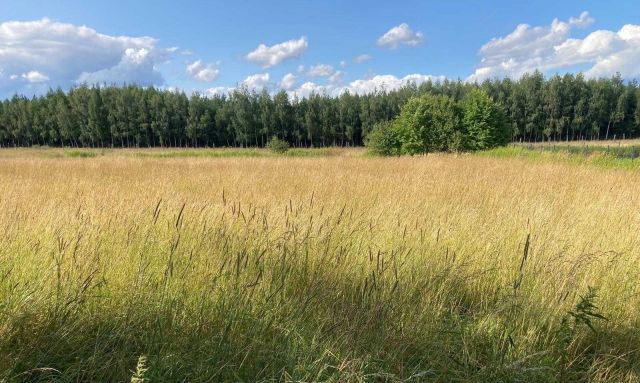 Działka budowlana Morzęcin Mały. Zdjęcie 1