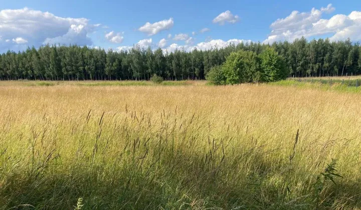 Działka budowlana Morzęcin Mały